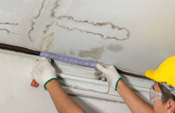 Reliable Mold Remediation contractor in Newton, TX by Water Damage Irwin